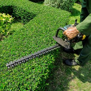 Çit Kenar & Dal Kesme Makinaları